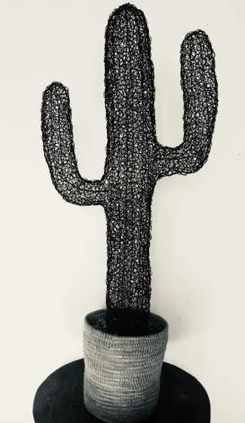 cactus mariegeorgesy